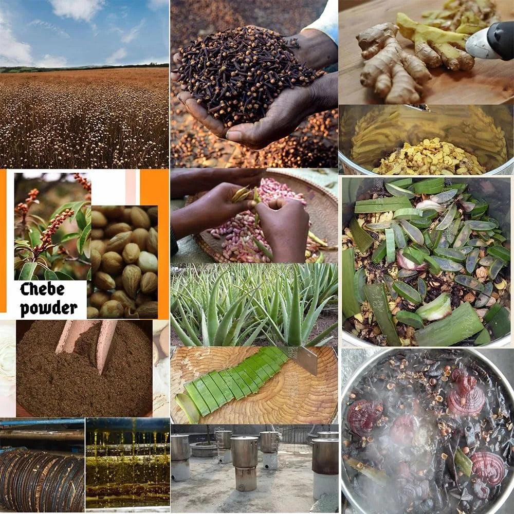 Layden Oil-One Touch to Gorgeous-North African Aloe Vera& Chebe Powder&Moroccan Cloves Scalp & Hair Strengthening