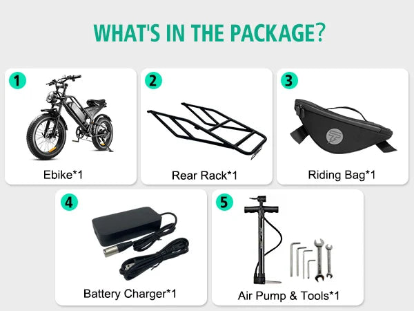 Mountain Electric bicycle 1000W Motor 48V15AH Lithium battery Motorcycle Style E-bicycle 20*4.0 Fat Tire Off-Road Electric Bike