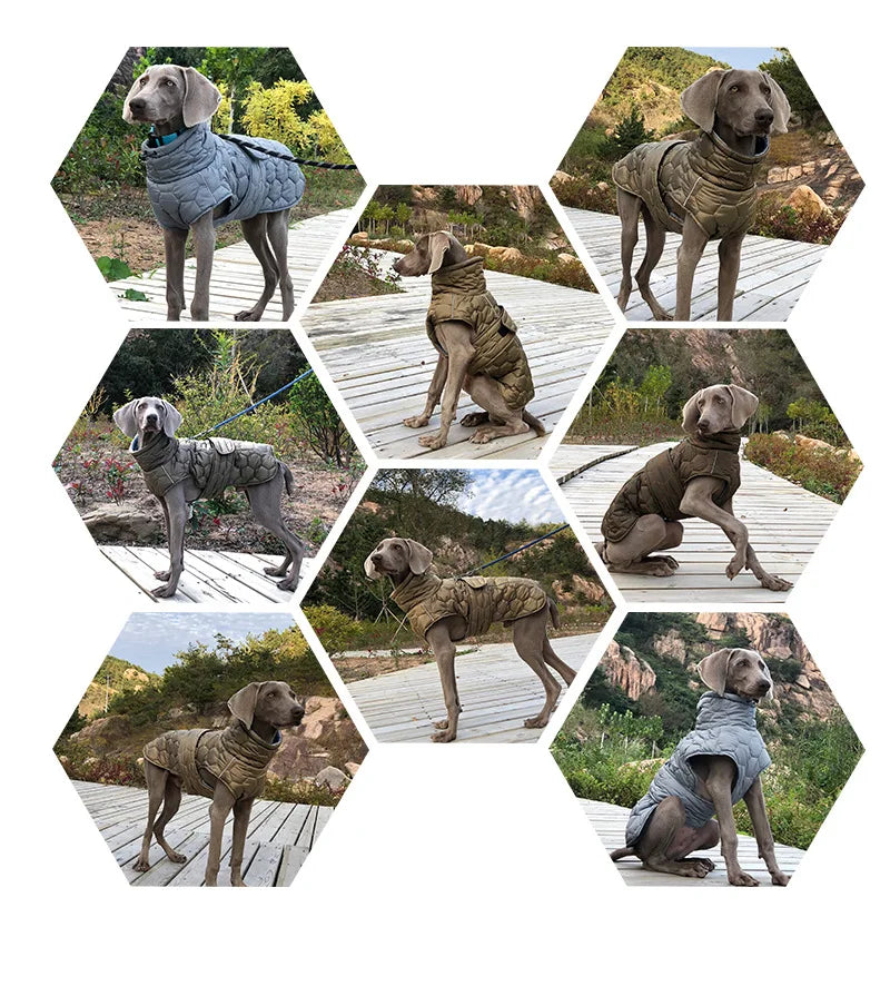 Winter Dog Clothes for Large Breed Reflective Snowsuit Big Dog Jacket with Fleece Lining Warm Coat for Whippet Greyhound Pet