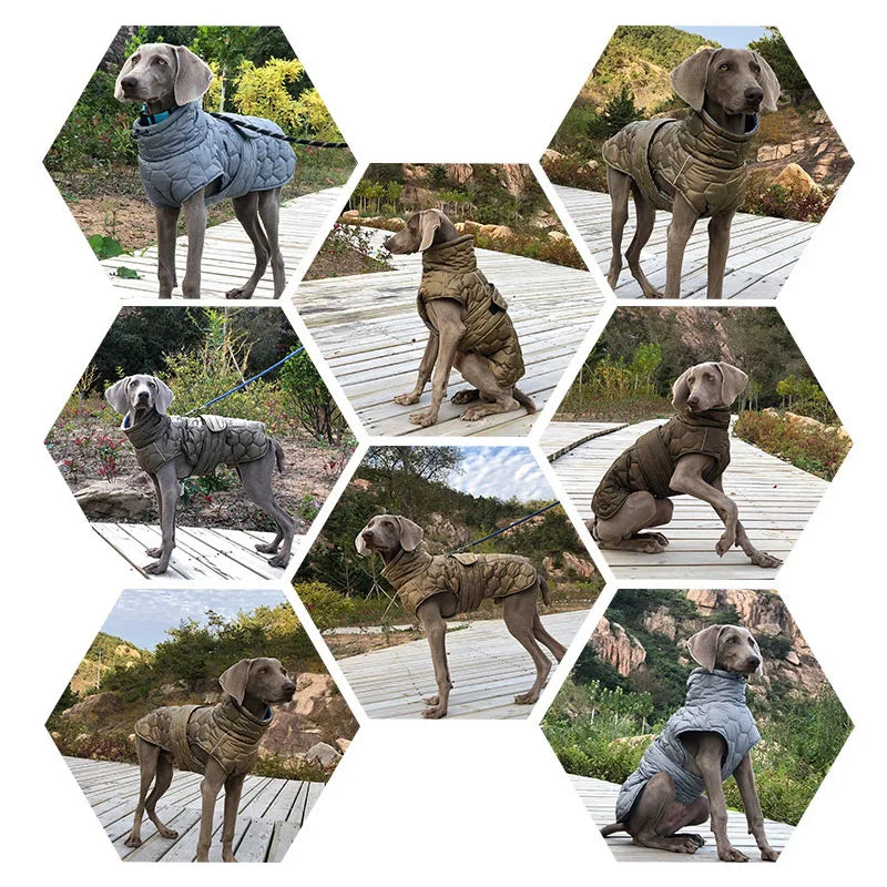 Winter Dog Clothes for Large Breed Reflective Snowsuit Big Dog Jacket with Fleece Lining Warm Coat for Whippet Greyhound Pet