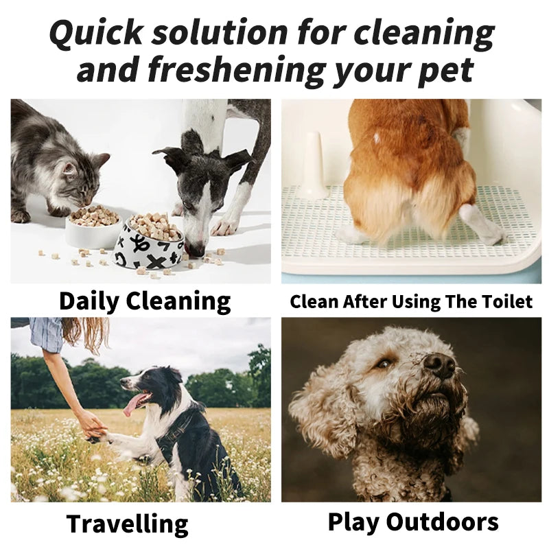 80PCS/pack Pet wipes Disposable Pure water formula Pet care Dog and cat health cleaning Deodorizing wipes Single-use
