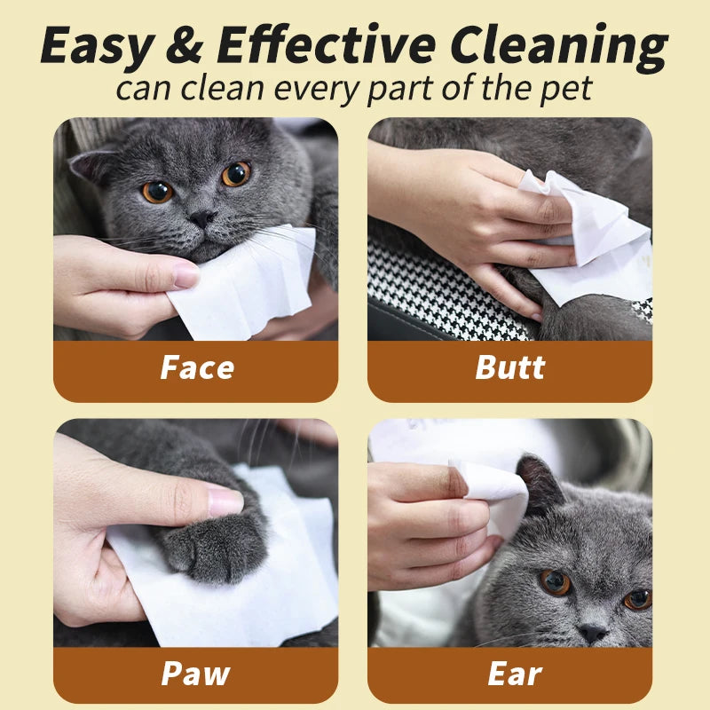 80PCS/pack Pet wipes Disposable Pure water formula Pet care Dog and cat health cleaning Deodorizing wipes Single-use