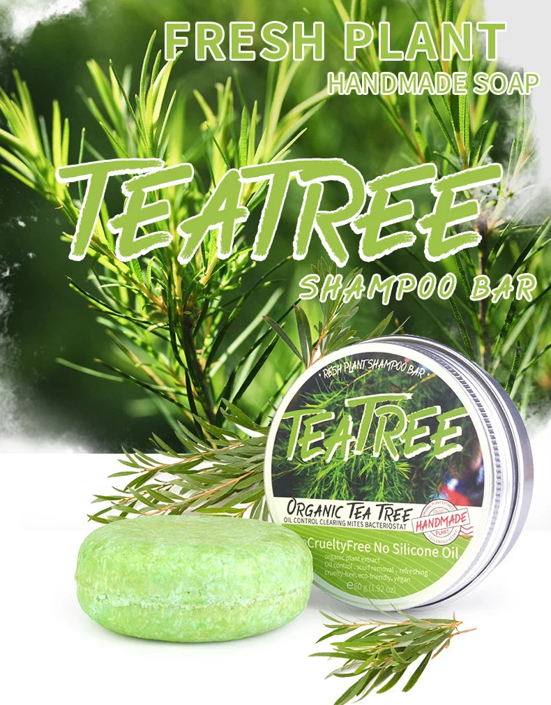 Tea tree essential oil plant shampoo is refreshing, oil controlling, dandruff reducing, and strong for hair. Handmade shampoo wi