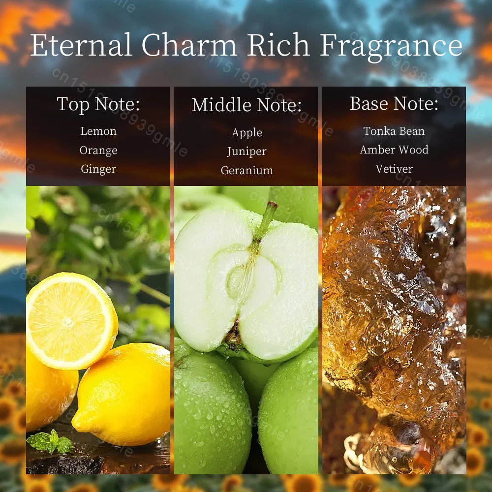 100ml Most Wanted Men's Perfumes Intense Mens Eau De Cologne Body Spray Woody Long-Lasting Fragrances Date Night Luxury Pefume